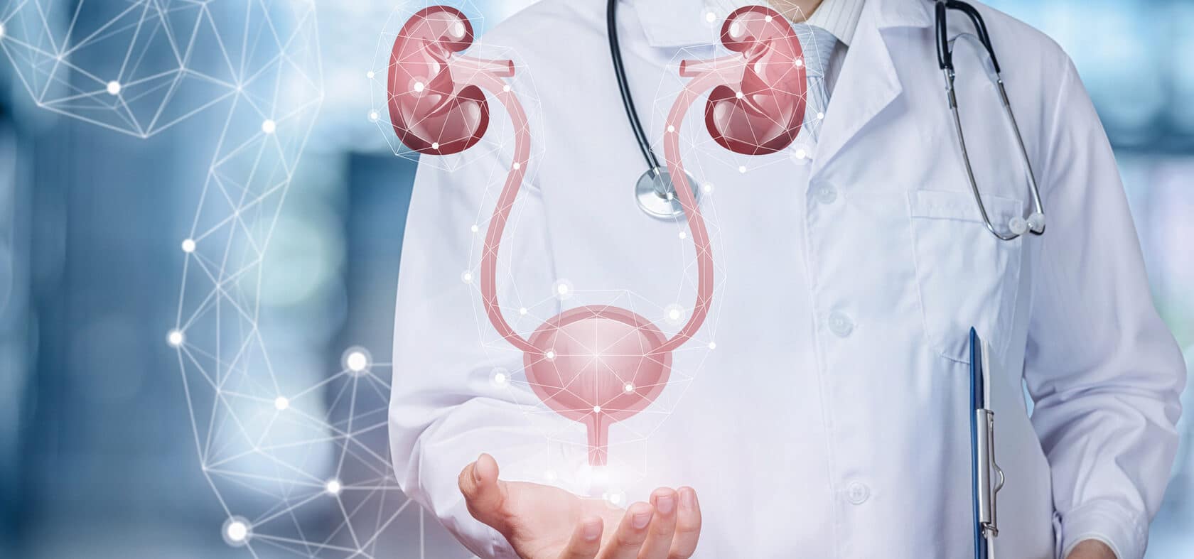 Azimed Hospital врач демонстрирует трехмерную визуализацию почек, терапия в Бухаре Узбекистан